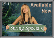 Christmas Special Offers