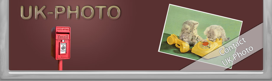 Contact Us Banner