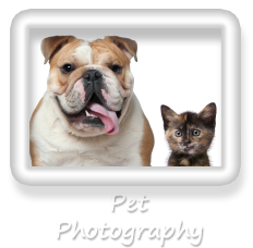 Pet Photography