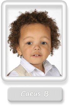 Ceaus Bucknor Wallace Gallery Button