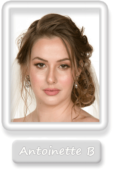Antoinette-Brierley Gallery Button