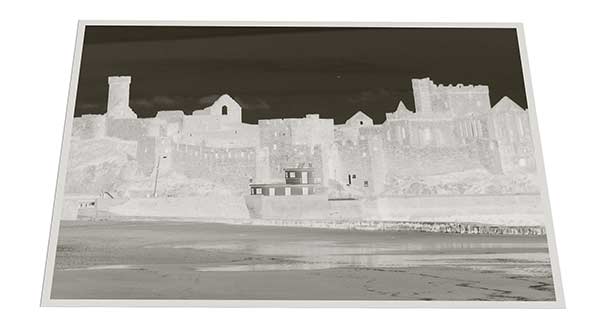 Sheet Film Negatives